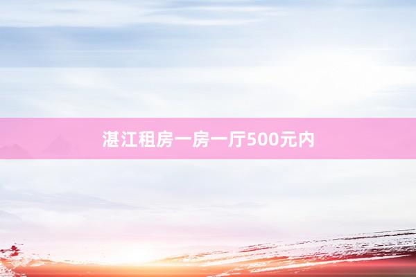 湛江租房一房一厅500元内